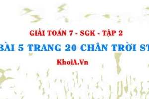 Bài 5 trang 20 Toán 7 Chân trời sáng tạo Tập 2